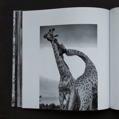 Africa | 120 Page B&W - Image 2