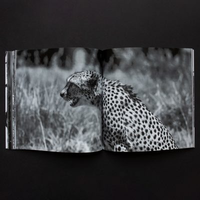 Africa | 120 Page B&W - Image 3