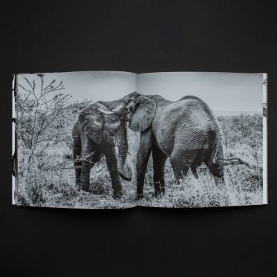 Africa | 120 Page B&W - Image 5